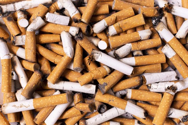 bahaya rokok terhadap sistem imunitas manusia