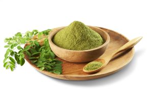 daun kelor