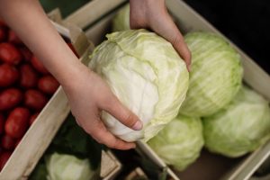 (kol merupakan sayur yang mudah ditemkukan dan bernutrisi tinggi, sumber : freepik)
