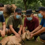 Bagaimana Menjaga Idul Adha Aman di Tengah Lonjakan COVID-19?